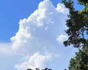 四会天气预报,四会7天天气预报,四会15天天气预报,四会天气查询